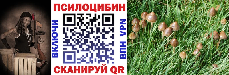 Псилоцибиновые грибы Psilocybe Вуктыл